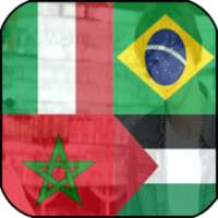 علم دولة في صورتك