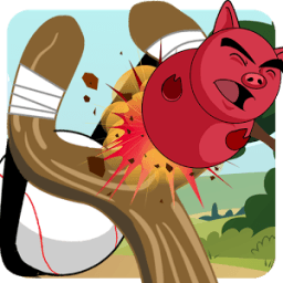 Shoot The Bird 2016 icon