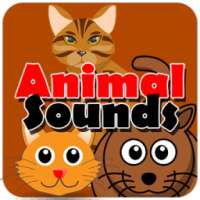 Animal Sounds