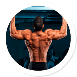Back Workouts आइकन