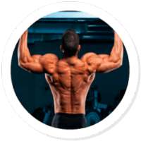 Back Workouts on 9Apps