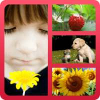 Photo Collage Pro on 9Apps