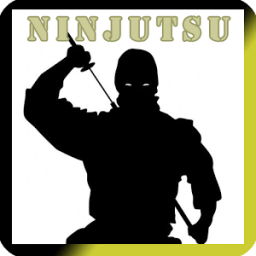 Ninjutsu Training icon