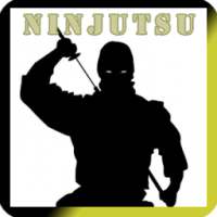 Ninjutsu Training on 9Apps