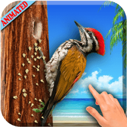 3D Woodpecker Live Wallpaper आइकन