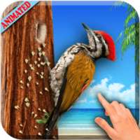 3D Woodpecker Live Wallpaper