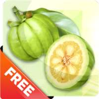 Garcinia Cambogia Diet App