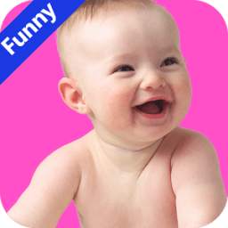 Funny Videos 1.6