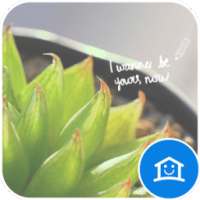 Beautiful green flower theme on 9Apps