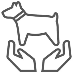 PAL Dog Care आइकन