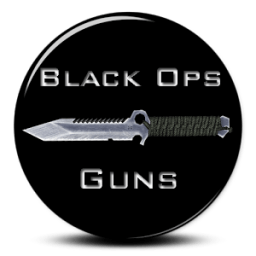 Black Ops Guns icon