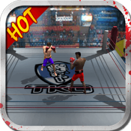 King of Boxing（3D） icon