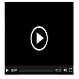 Pure video 6.2