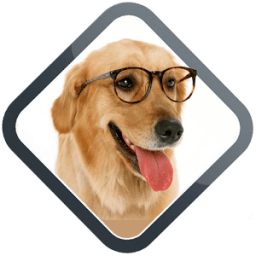 Кинологический приложения иконка