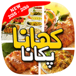 Pakistani Recipes In Urdu icon