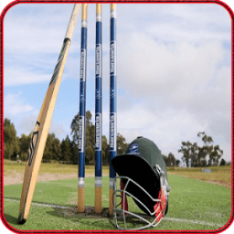 Boom Boom Afridi Batting आइकन