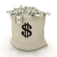 The Money Bag logo