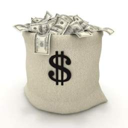 The Money Bag 15112409