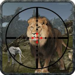 Forest Animal Sniper Hunting 1.1