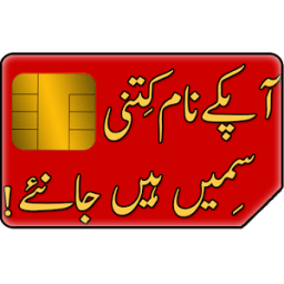 ikon Sim Registration Checker