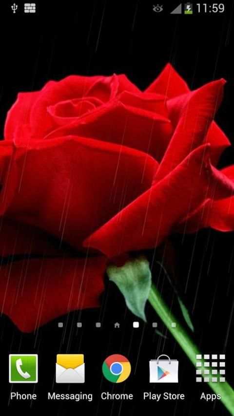 Rain Rose Live Wallpaper screenshot 1