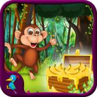 Monkey Jungle Adventure