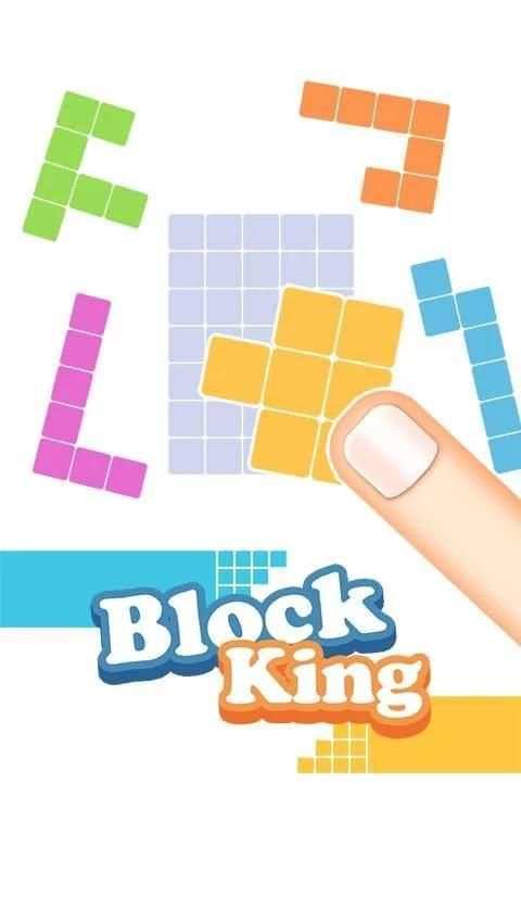 Block King 3 تصوير الشاشة