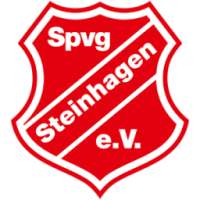 Spvg. Steinhagen Handball