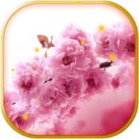 Весна Анимированные обои