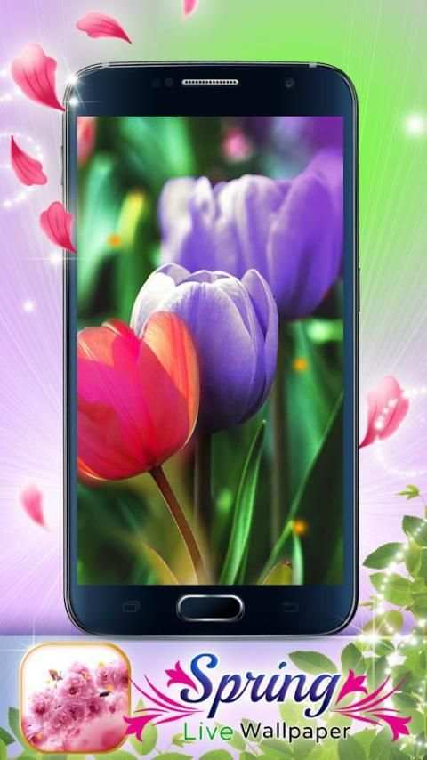 Spring Live Wallpaper screenshot 1