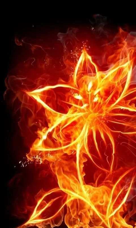 Fire Wallpapers 5 تصوير الشاشة