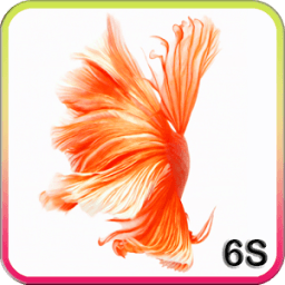 Бойцовая рыбка 6S живые обои иконка