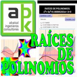 Polinomio Math.1