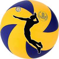 Volei News