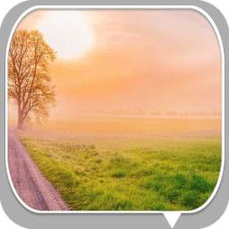 The Beautiful Scenery 2.1