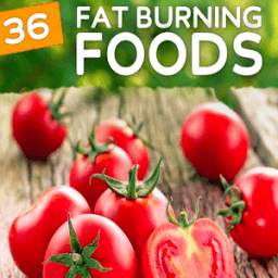 Fat burning foods