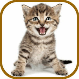 Cat Sounds Ringtones Purr иконка