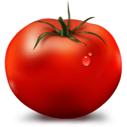 Tomato timer icon