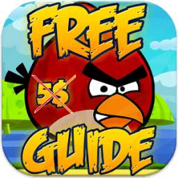 Guide for Angry Birds 1.1