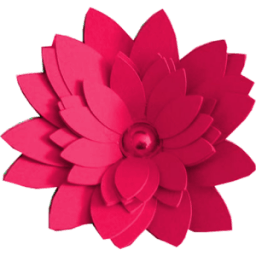 ikon Camera Filters Pro