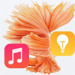 6s plus 4.9.0