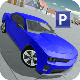 Modern American Car Parking icon