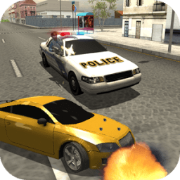 Police Car Fury Racing icon