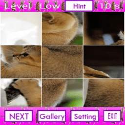 Funny Puzzle Kece 1.0