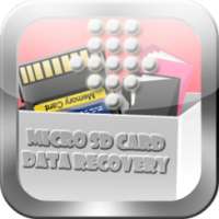 Micro SD Card Data Recovery