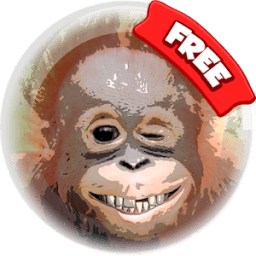 ikon Bubble Face Shooter free