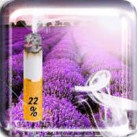 Widget Cigarette Battery