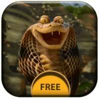 Snake Attack Live Wallpaper on 9Apps