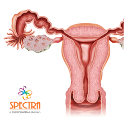 Mini Atlas Gynaecology आइकन