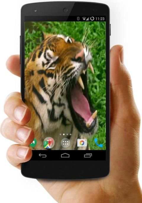 4K Video Live Wallpaper screenshot 10